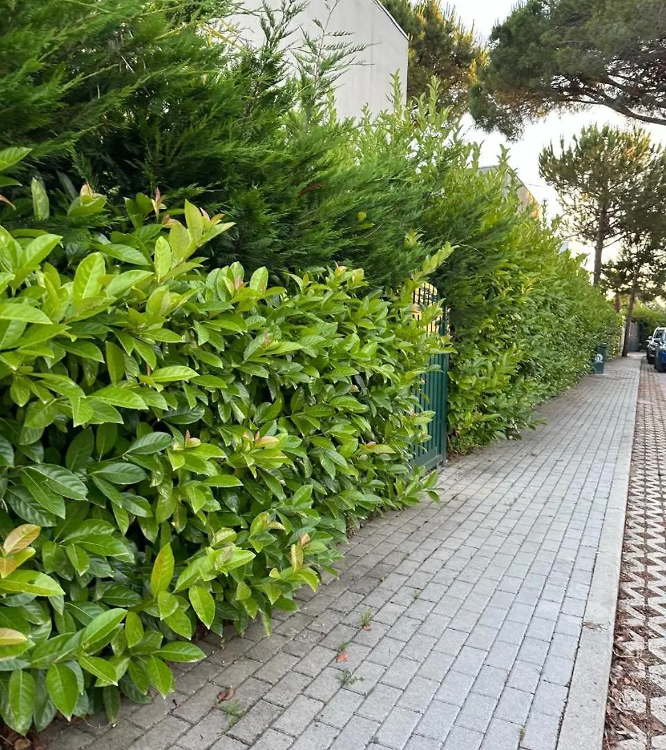 Daire Gjiri I Lalzit- Joy Apartments-Kompleksi Lura 2 Dıraç